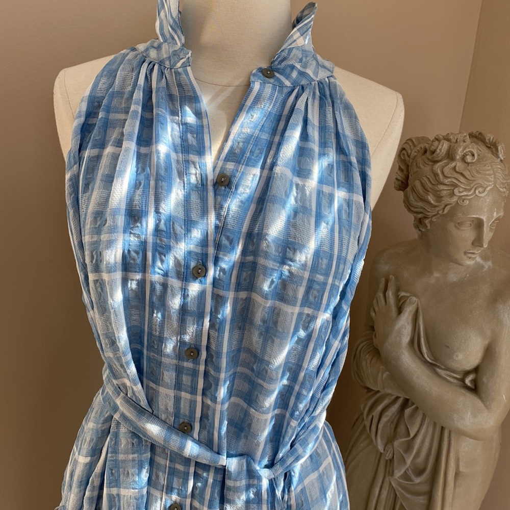 Antropologie blue gingham midi shirt dress size 2x plus Dorothy - Picture 7 of 15